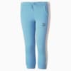 Image Puma PUMA MATES T7 Sweatpants Kids #5