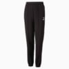 Зображення Puma Дитячі спортивні штани Classics Sweatpants Youth #5: Puma Black