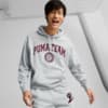 Image Puma PUMA Team Terry Hoodie Men #1