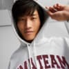 Image Puma PUMA Team Terry Hoodie Men #3