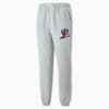 Image Puma PUMA Team Terry Sweatpants Men #6