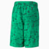 Зображення Puma Шорти Classics Super PUMA Shorts Men #7: Grassy Green-AOP