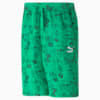 Зображення Puma Шорти Classics Super PUMA Shorts Men #6: Grassy Green-AOP