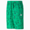 Image Puma Classics Super PUMA Shorts Men #6