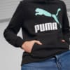 Image PUMA Moletom Classics Logo Terry Masculino #5