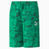 Зображення Puma Шорти Classics Super Shorts Youth #5: Grassy Green