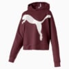 Зображення Puma Толстовка MODERN SPORT Hoody #4: Vineyard Wine