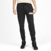 Зображення Puma Штани Athletics Pants FL Сl #1: Puma Black