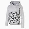 Зображення Puma Толстовка Girls’ Alpha Hoodie #1: light gray heather