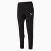 Imagen PUMA Pantalones deportivos para hombre Evostripe #6