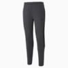 Изображение Puma Штаны Evostripe Men’s Sweatpants #1: Dark Gray Heather