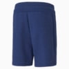 Зображення Puma Шорти Evostripe Men's Shorts #5: Elektro Blue