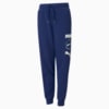 Зображення Puma Дитячі штани Alpha Youth Sweatpants #1: Elektro Blue