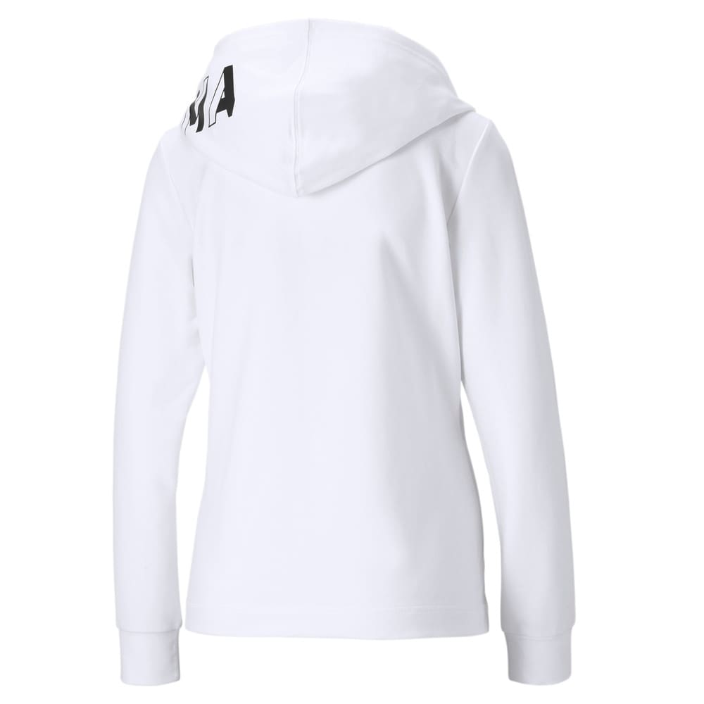 puma