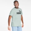 Изображение Puma Футболка Essentials Logo Men's Tee #1: Ice Flow