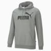 Зображення Puma Толстовка Essentials Big Logo Men's Hoodie #6: Medium Gray Heather