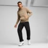 Изображение Puma Толстовка Essentials Big Logo Men's Hoodie #3: Oak Branch