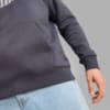 Изображение Puma Толстовка Essentials Big Logo Men's Hoodie #2: Galactic Gray