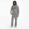 Изображение Puma Худи Essentials Big Logo Men’s Hoodie #3: Medium Gray Heather