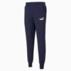 Изображение Puma Штаны Essentials Logo Men's Sweatpants #1: Peacoat