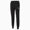 Изображение Puma Штаны Essentials Logo Men's Sweatpants #1: Puma Black-Cat