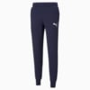 Изображение Puma Штаны Essentials Logo Men's Sweatpants #1: Peacoat-Cat