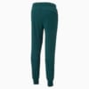 Изображение Puma Штаны Essentials Logo Men's Sweatpants #7: Varsity Green