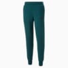 Изображение Puma Штаны Essentials Logo Men's Sweatpants #6: Varsity Green