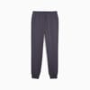 Зображення Puma Штани Essentials Logo Men's Sweatpants #7: Galactic Gray