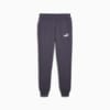 Зображення Puma Штани Essentials Logo Men's Sweatpants #6: Galactic Gray