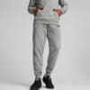 Зображення Puma Штани Essentials Logo Men's Sweatpants #1: Medium Gray Heather