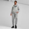 Зображення Puma Штани Essentials Logo Men's Sweatpants #4: Medium Gray Heather