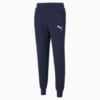 Зображення Puma Штани Essentials Logo Men's Sweatpants #1: Peacoat-Cat