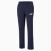 Изображение Puma Штаны Essentials Logo Men's Pants #1