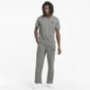 Зображення Puma Штани Essentials Logo Men's Sweatpants #3: Medium Gray Heather