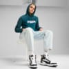 Изображение Puma Толстовка Essentials+ Two-Tone Big Logo Men's Hoodie #3: Cold Green