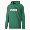 Image PUMA Moletom com Capuz Essentials Plus Two-Tone Big Logo Fleece Masculino #6