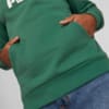 Image PUMA Moletom com Capuz Essentials Plus Two-Tone Big Logo Fleece Masculino #2
