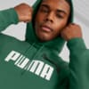 Image PUMA Moletom com Capuz Essentials Plus Two-Tone Big Logo Fleece Masculino #5
