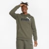 Зображення Puma Толстовка Essentials+ Two-Tone Big Logo Men's Hoodie #1: Grape Leaf