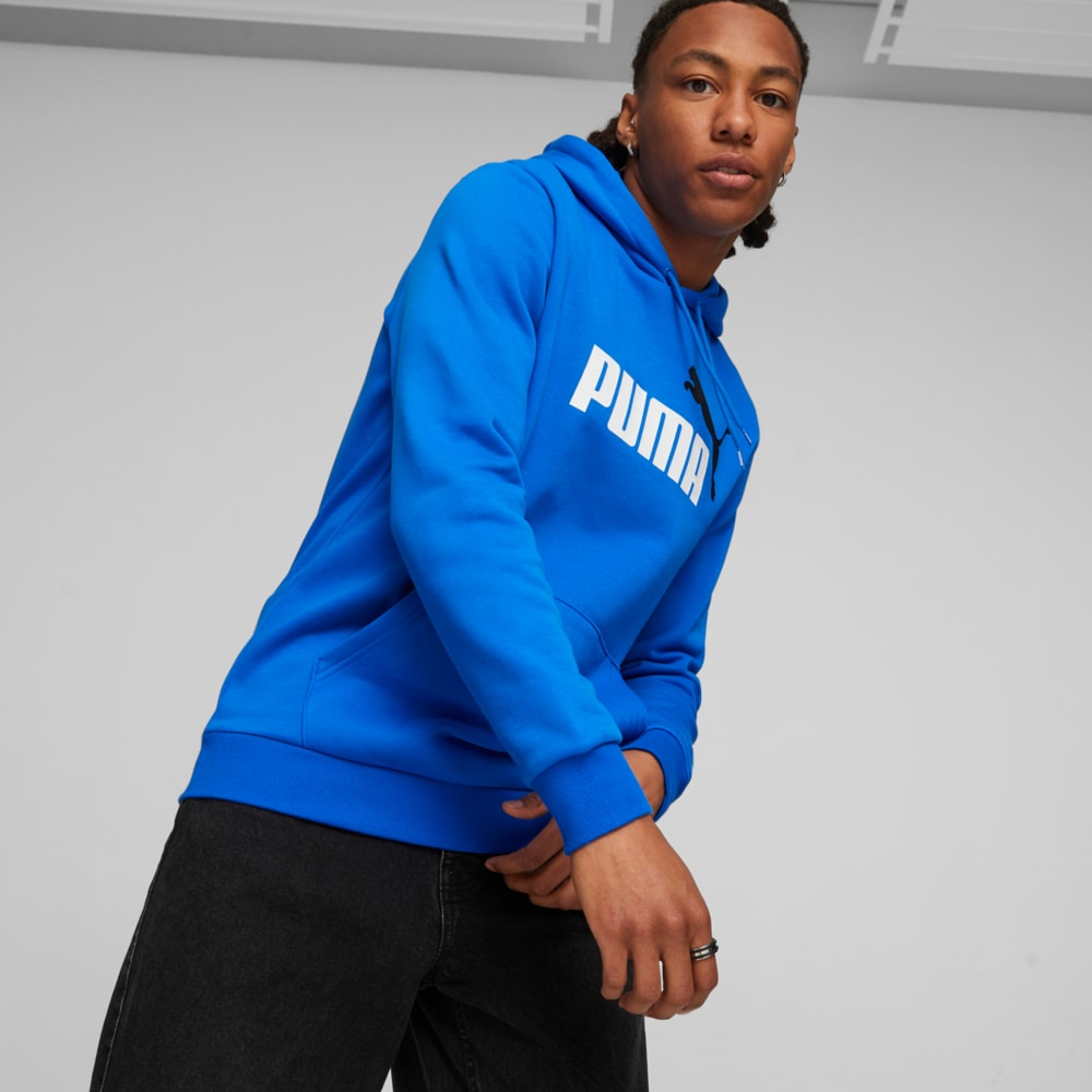 Puma bicolor shop