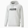 Зображення Puma Толстовка Essentials+ Two-Tone Big Logo Men's Hoodie #6: light gray heather