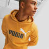 Изображение Puma Толстовка Essentials+ Two-Tone Big Logo Men's Hoodie #1: Desert Clay