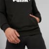 Изображение Puma Толстовка Essentials+ Two-Tone Big Logo Men's Hoodie #4: Puma Black-Puma White