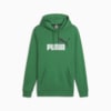 Зображення Puma Толстовка Essentials+ Two-Tone Big Logo Men's Hoodie #1: Archive Green