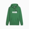 Изображение Puma Толстовка Essentials+ Two-Tone Big Logo Men's Hoodie #1: Archive Green