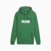 Изображение Puma Толстовка Essentials+ Two-Tone Big Logo Men's Hoodie #1: Archive Green