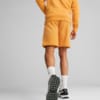 Изображение Puma Шорты Essentials+ Two-Tone Men's Shorts #4: Desert Clay