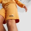 Изображение Puma Шорты Essentials+ Two-Tone Men's Shorts #5: Desert Clay