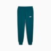 Зображення Puma Штани Essentials+ 2 Col Logo Men's Pants #1: Cold Green
